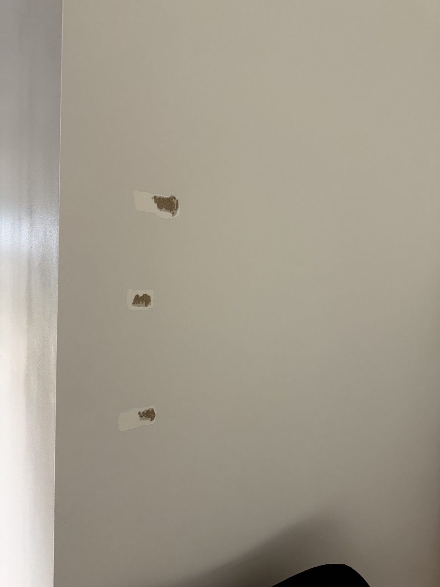 commercial space with damaged drywall Preview Image 11