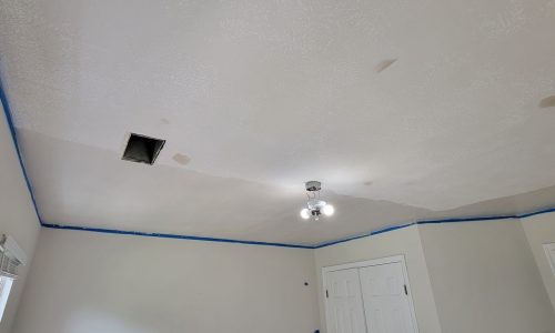 Ceiling Work in Progress