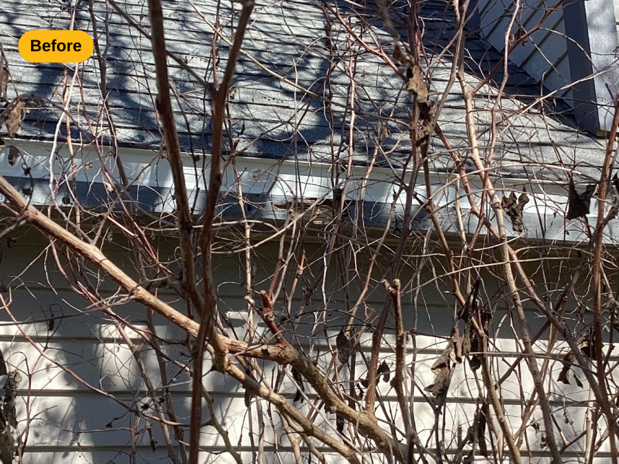 before Preview Image 16