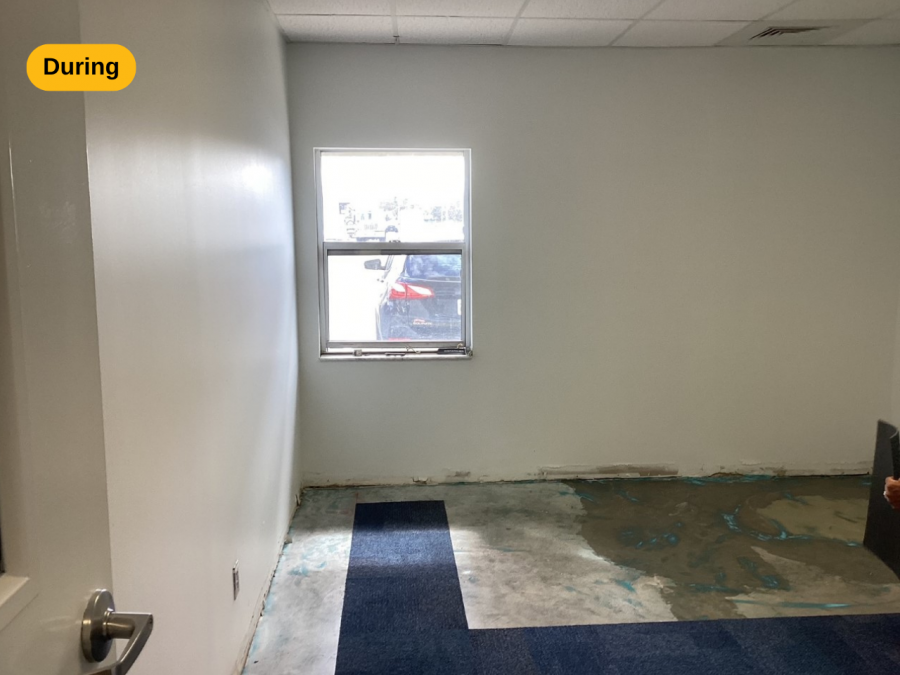 during Preview Image 17