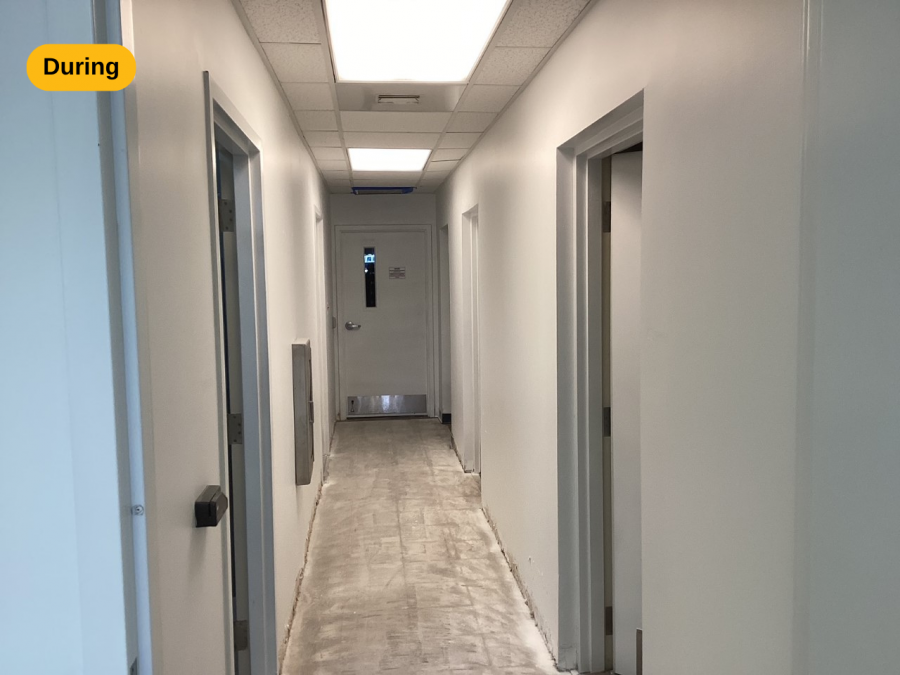 during Preview Image 11