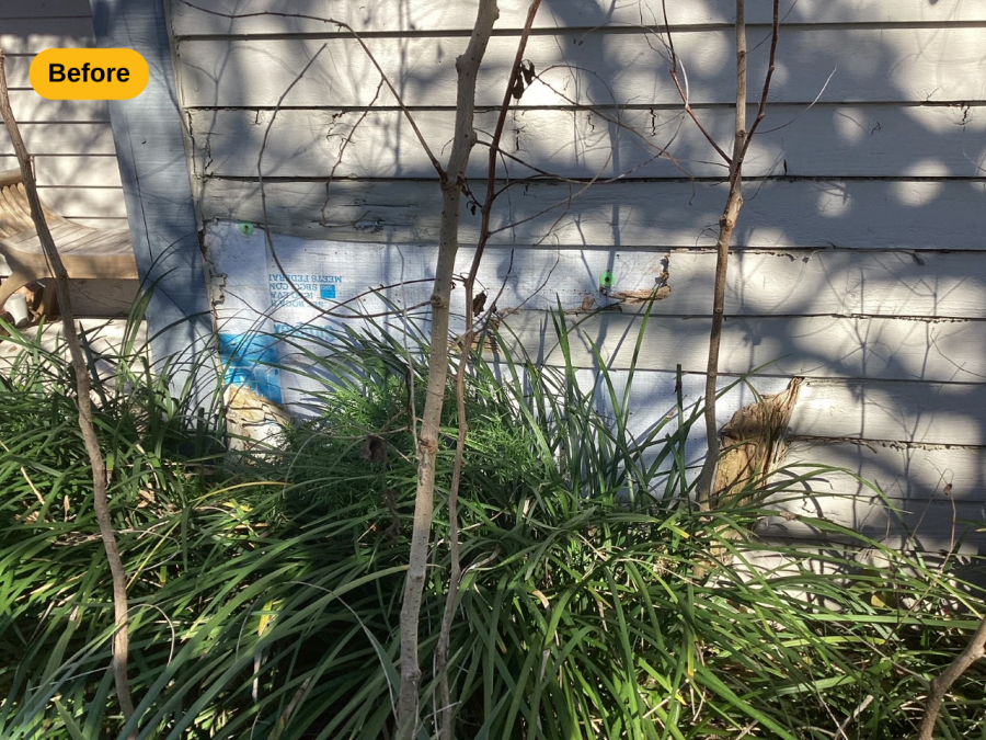 before Preview Image 15