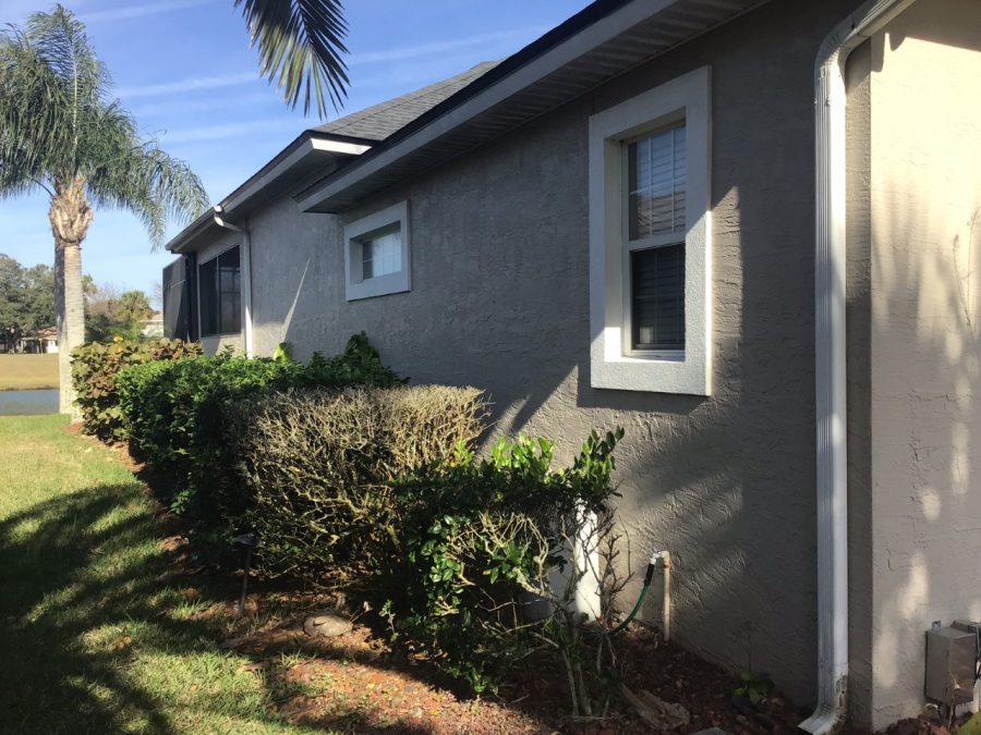 Side Shrubs of House Preview Image 2