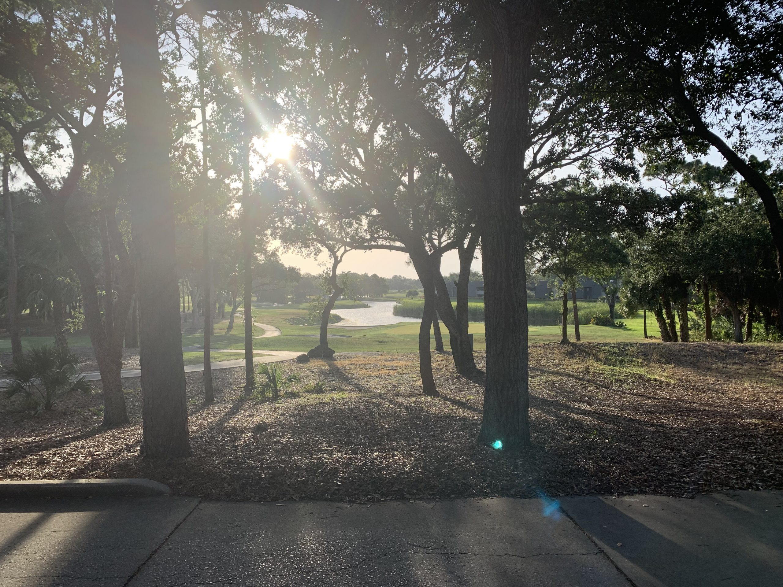 Sun shinning through trees at the Legacy of Hope Golf Classic 