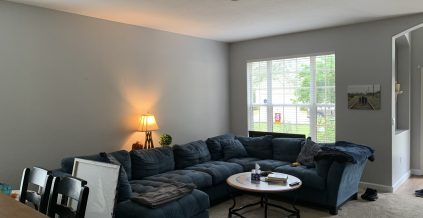 Residential Interior Painting Project