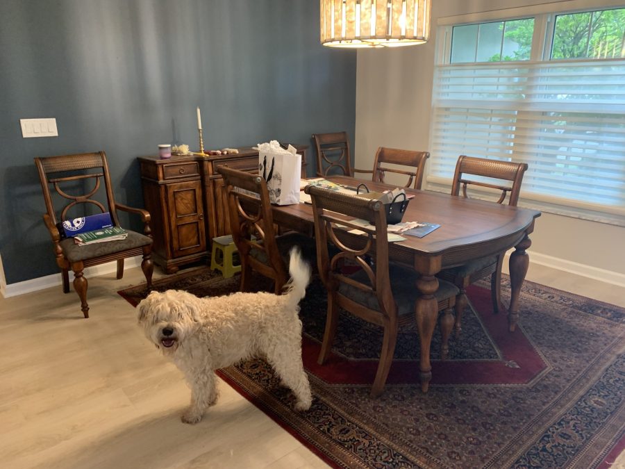 Residential Interior Preview Image 1