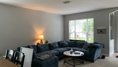 Residential Interior Painting Project