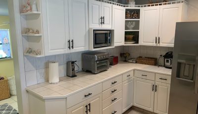 Cabinet painting project