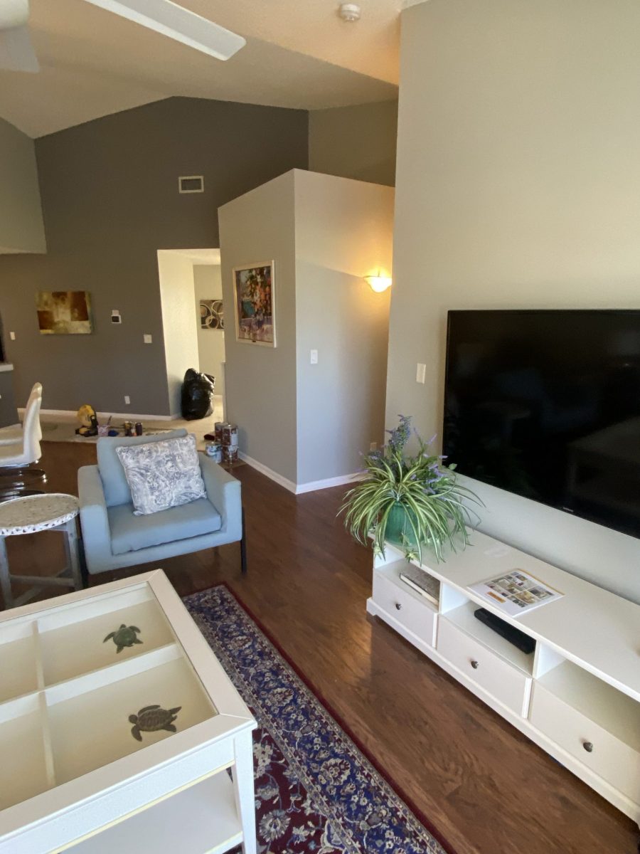 living room interior painting st petesburg Preview Image 2