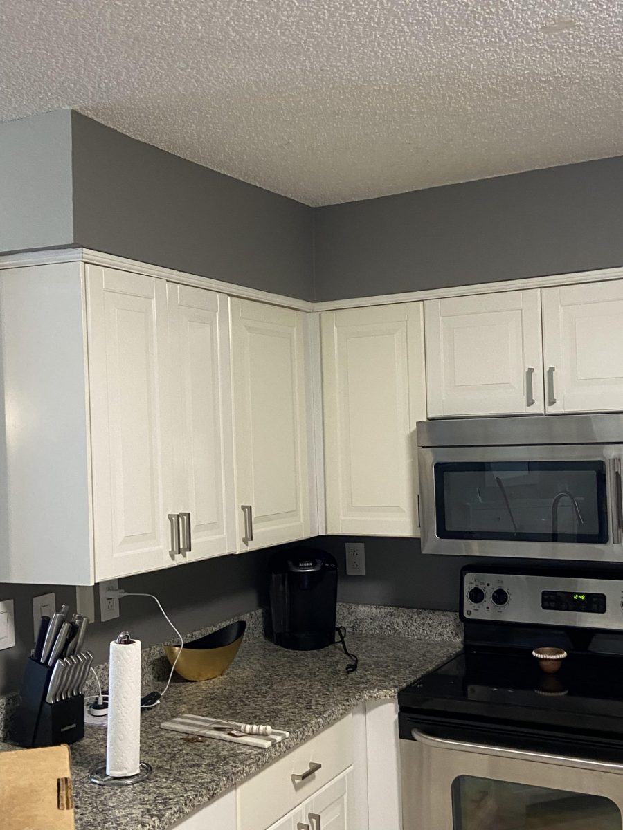 white kitchen cabinet painitng Preview Image 13