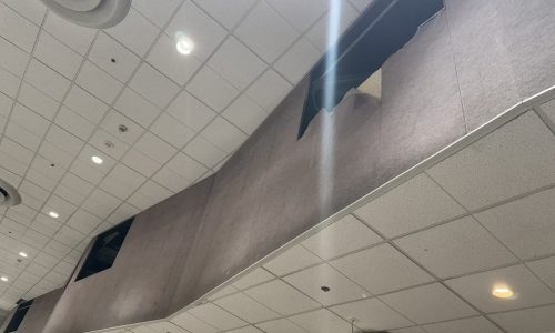 Peeling Fabric Wall Coverings