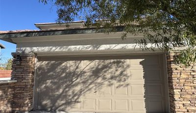 garage door painting