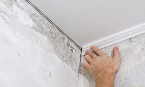 Crown Molding Installation