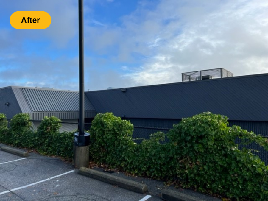 before Preview Image 3