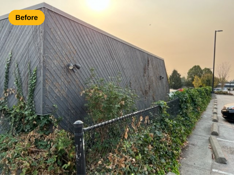 after Preview Image 1