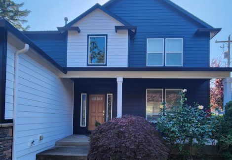 Residential Painting Project