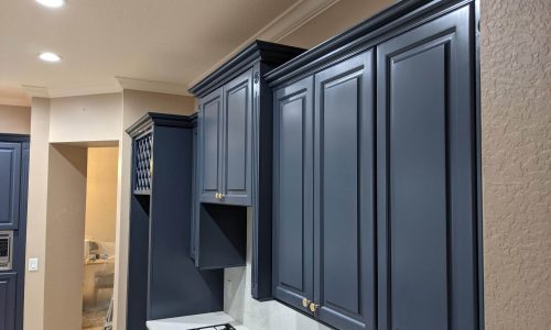 Kitchen Cabinet Navy