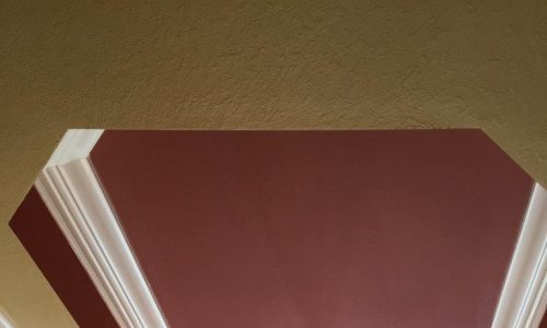 interior-ceiling-tray