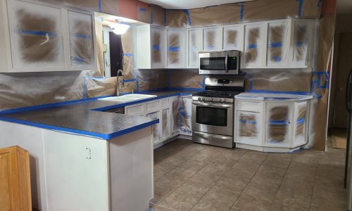 During - Cabinets Primed and Painted