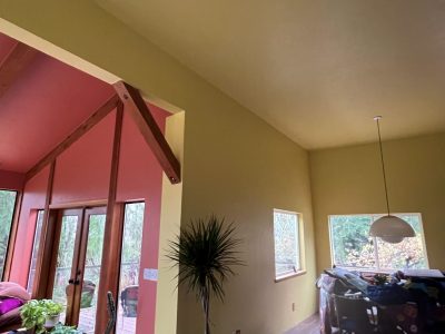 interior painting project