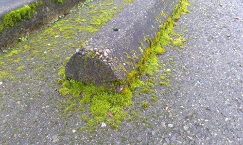 UP Dentistry Parking Space