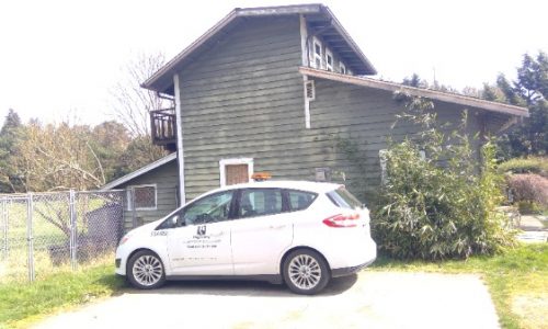 Faded Dark Sage Color