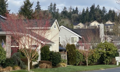 Finished Street of Homes