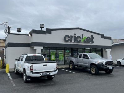 cricket mobile painting