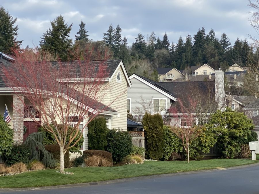 Finished Street of Homes Preview Image 7