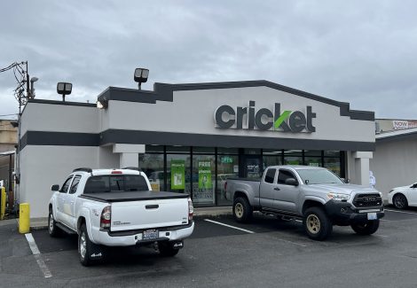 Cricket Mobile Painting