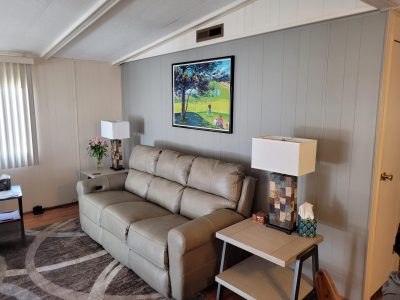 living room interior painting in arizona