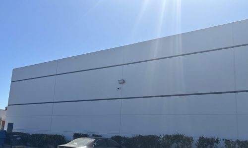 Painted Around Security Camera