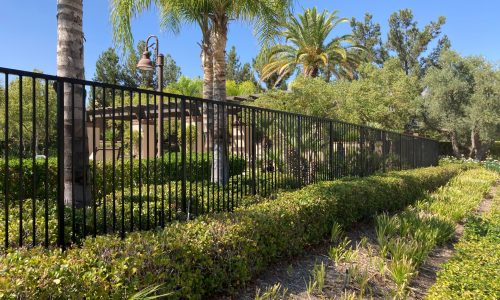 Freshly Painted Fence