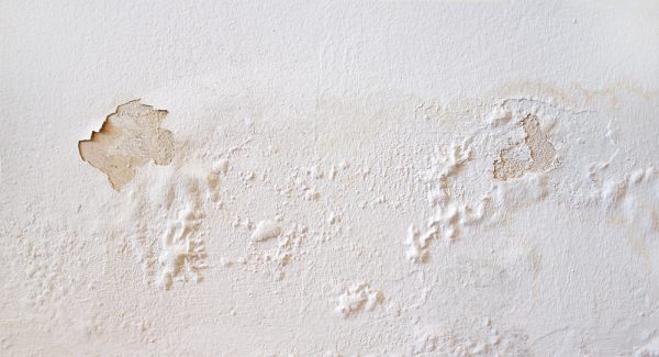 4 Warning Signs of Stucco Damage