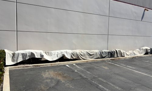 Covered Shrubs to Protect from Paint