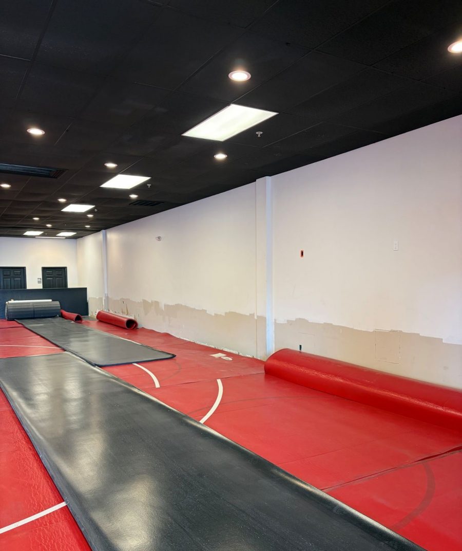 Triumph Wrestling Inside Preview Image 2