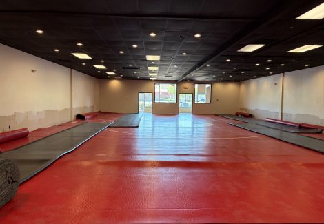 Triumph Wrestling