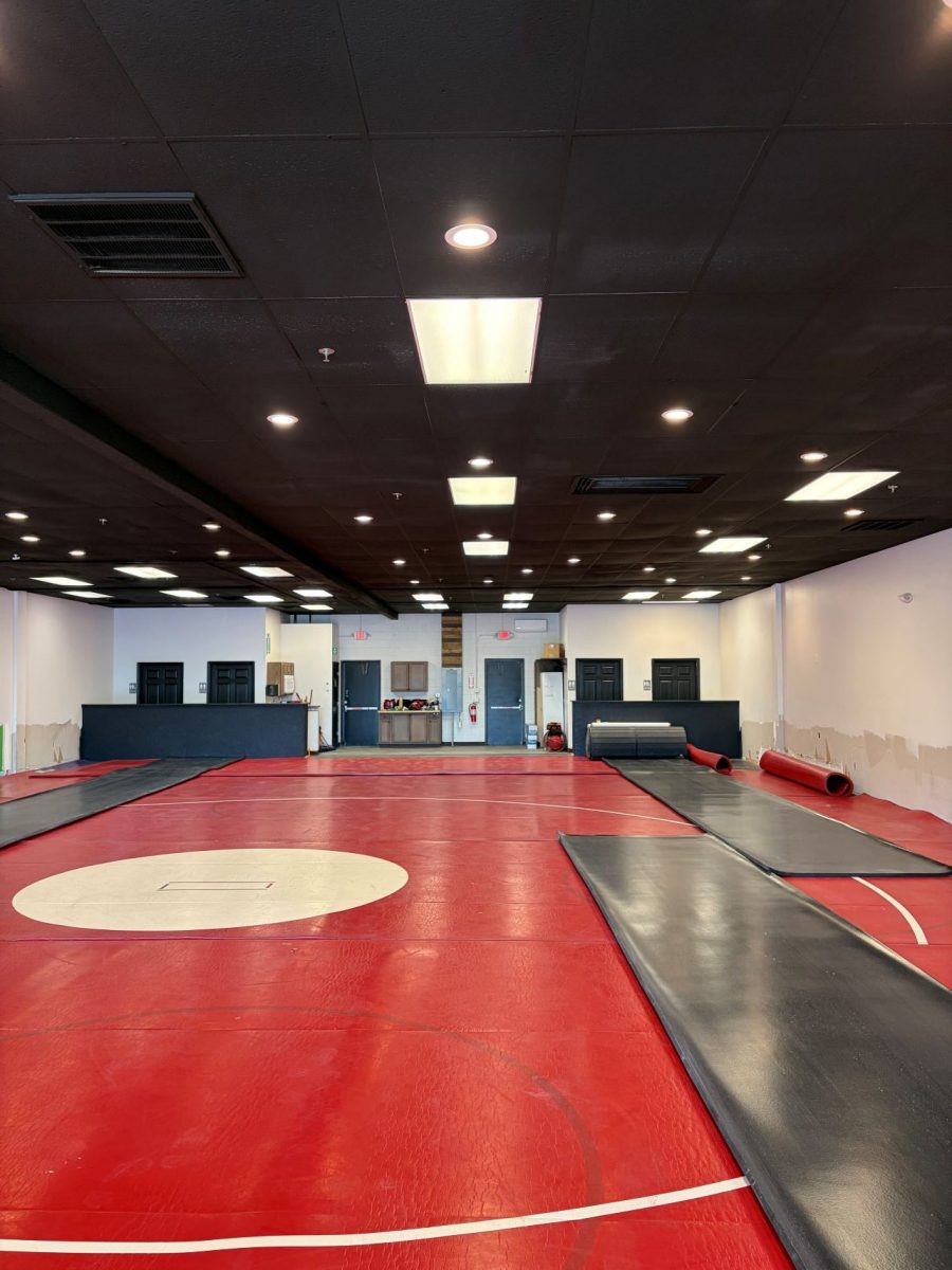 Triumph Wrestling Inside Preview Image 3