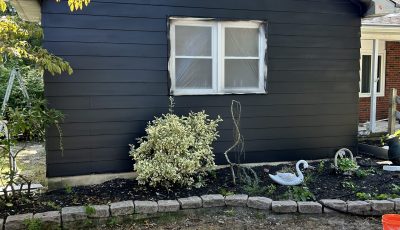 Exterior Painting Refresh