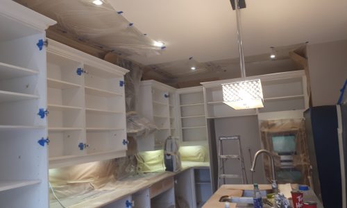 Kitchen Cabinets - In Progress