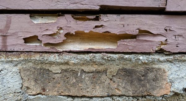 Wood Rot Repair Services