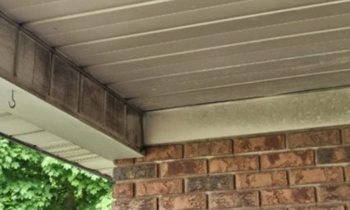 sign you need painting visible mold growth