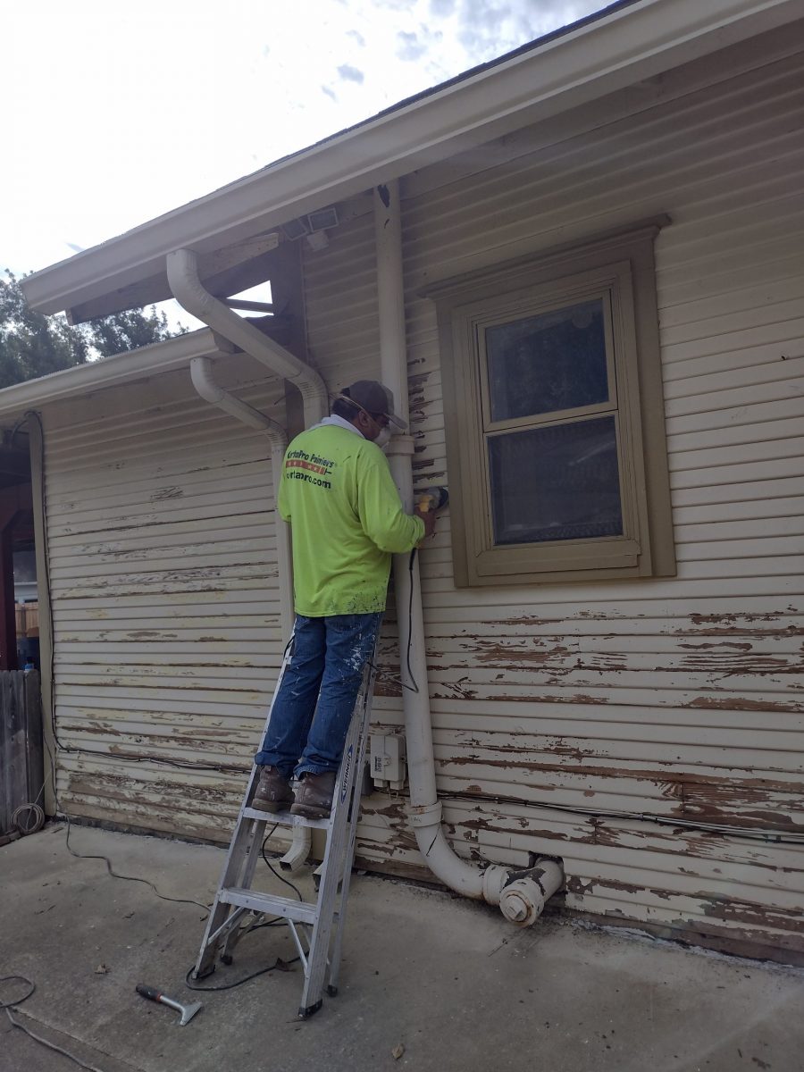 Mario Social media Preview Image 4