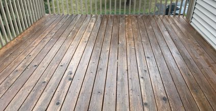 Professional Deck Painting