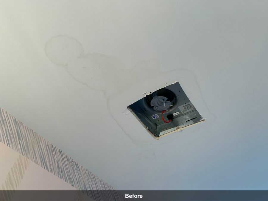 Ceiling damage Preview Image 1