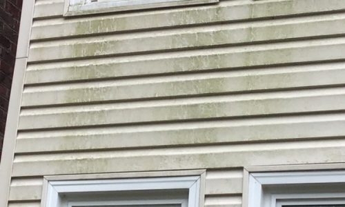 Before Power Washing