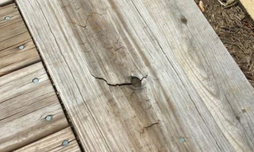 Chipping and rotting of wood