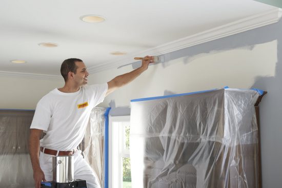 Professional Painters in Strathcona