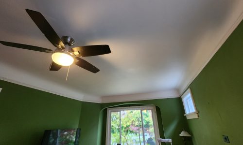 Ceiling Repair & Painting
