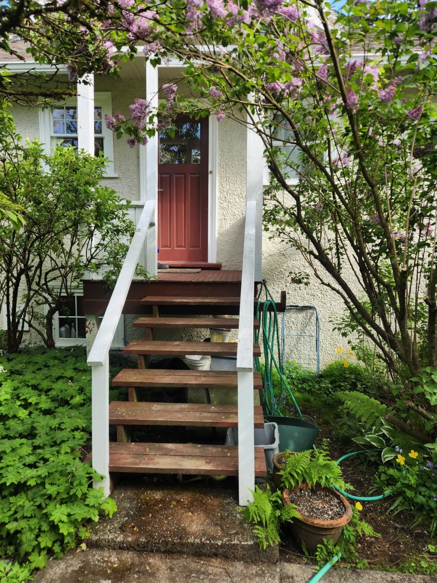 Before Wood Exterior Step Painting Preview Image 6